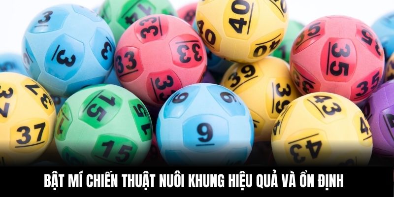 Bật mí chiến thuật nuôi khung hiệu quả và ổn định