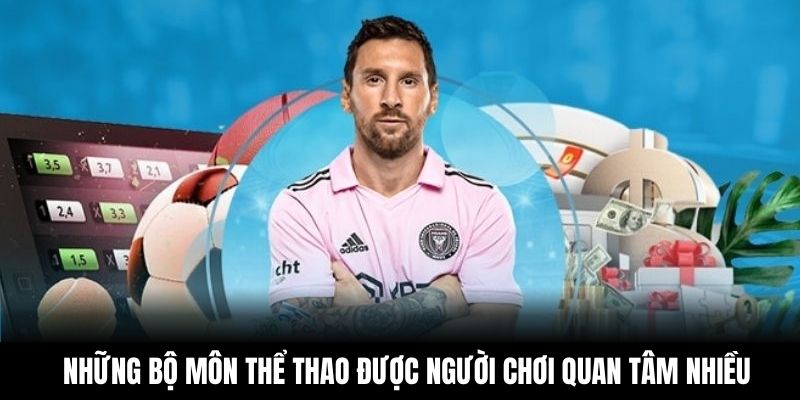 Những bộ môn thể thao được người chơi quan tâm nhiều